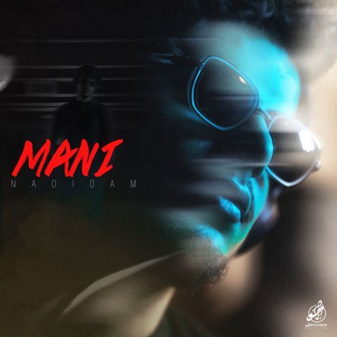 دانلود آهنگ مانی به نام ندیدم